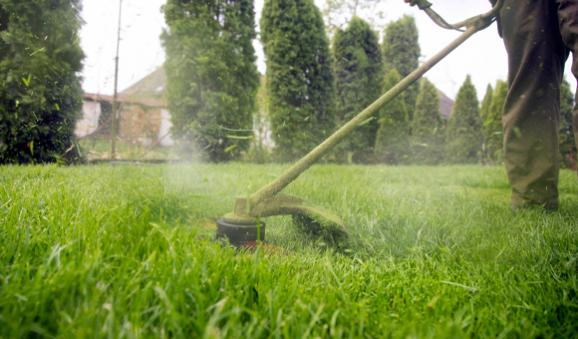 Entretien de jardin