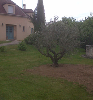 Création de jardin